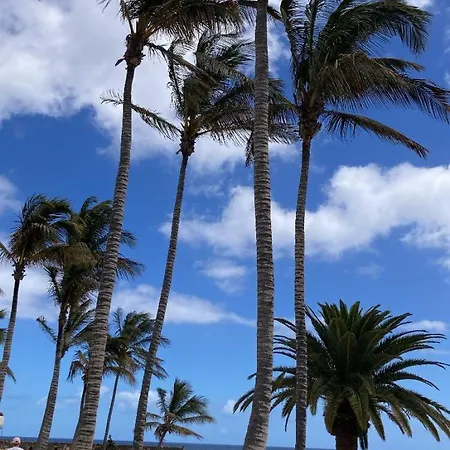 Pura Vida *